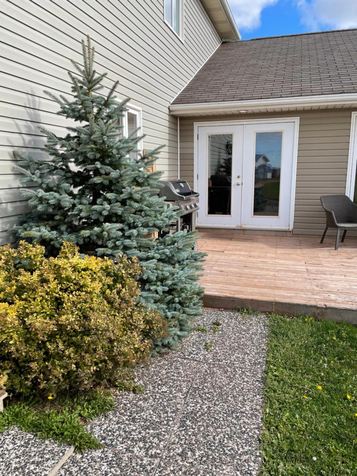 Pei Cottage Rental Borden-Carleton Exterior foto